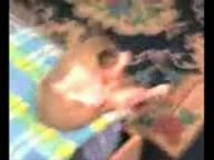 vasyaplatit.ru.ржачный кот