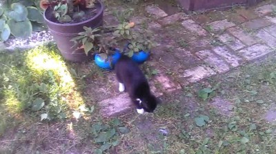 Ну шевелись, я же на тебя не смотрю