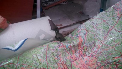 летучая мышь