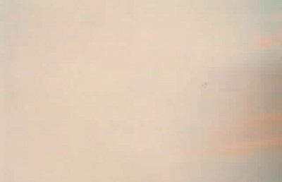 Данди и друг с мобилой