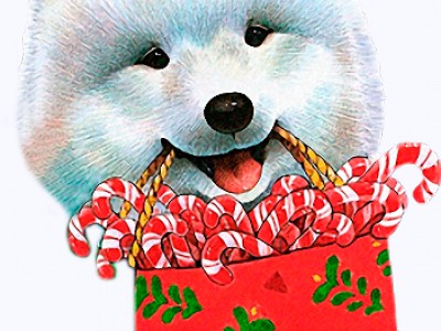 Хаски с подарками