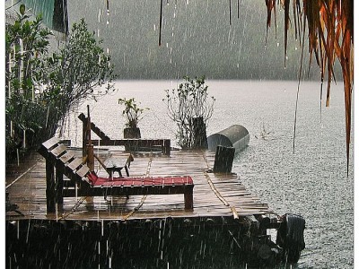 тропический ливень00023