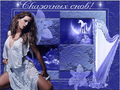 Доброй ночи!!!