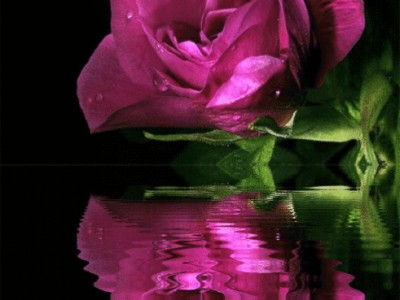 С Добрым Утром!