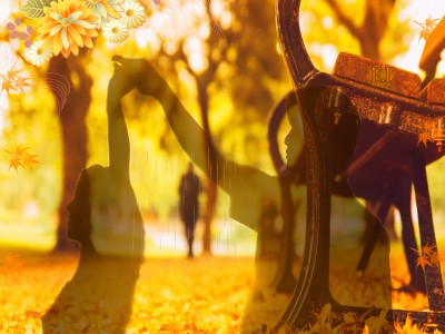 осенний ветер