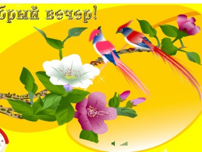 Добрый вечер