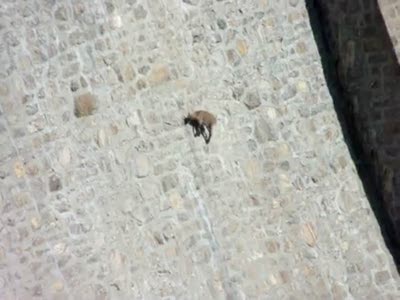 Антигравитациооные козлы