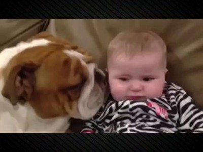 поцелуй бульдога.