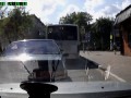 Олень в Долгопрудном