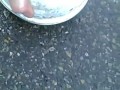 Петарда в кастрюле с крышкой