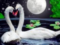 У любви нет времени... лебеди...