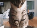 gifs_16 (1)