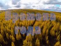 Осенью жизнь наблюдается проще
