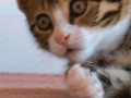 859