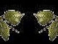 95