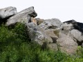 rock