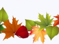 66