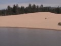 Fungif_26