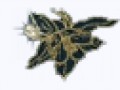 fon_3_1_arnusha