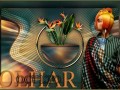 OlharOculto