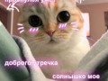 174fe94f2297936796808690d614335f