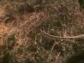 ВЫСОЦКИЙ *Книжные дети*