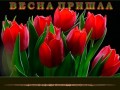 -имени-1_01