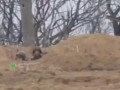Задвухсотили орка к 9 мая.