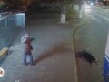 Падение пенсионерки из троллейбуса в Волгограде
