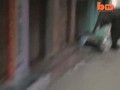 Слоны устроили погром