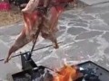 Допрыгался