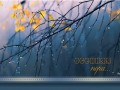 -имени-2a_01