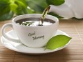 Green-Tea-Wallpaper-Gallery