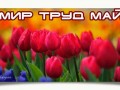 мир-труд-май