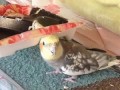 С песней и работать веселей
