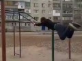 Дворовой спортсмен