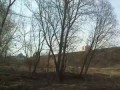 Паровой поезд в Истре