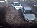 Сволочь на солярисе