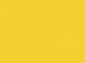 Шафраново-желтый	#F5D033	245	208	51