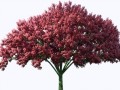 _7_yapfiles.ru