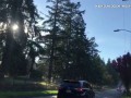 RAW: Steel balls strike cars on West Seattle street