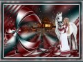 3.12.2023 WINTER STARS