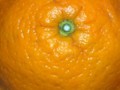 0_fd459_9dd74a57_orig