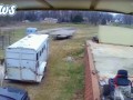 Лошадка четко разобралась с питбулем