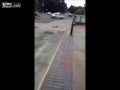 Мама утка и утята переходят дорогу но вдруг ....