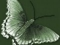 7_12
