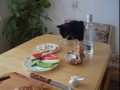 Кошик - алкошик / Cat - an alcoholic