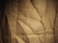 1_yapfiles.ru (2)
