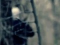 The Hellfreaks: Boogie Man 