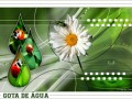 28.02.2021 Gota de agua